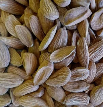 تصویر 1 از خرید و قیمت بادام مامایی 120 دانه